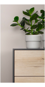 MADE Solution Products