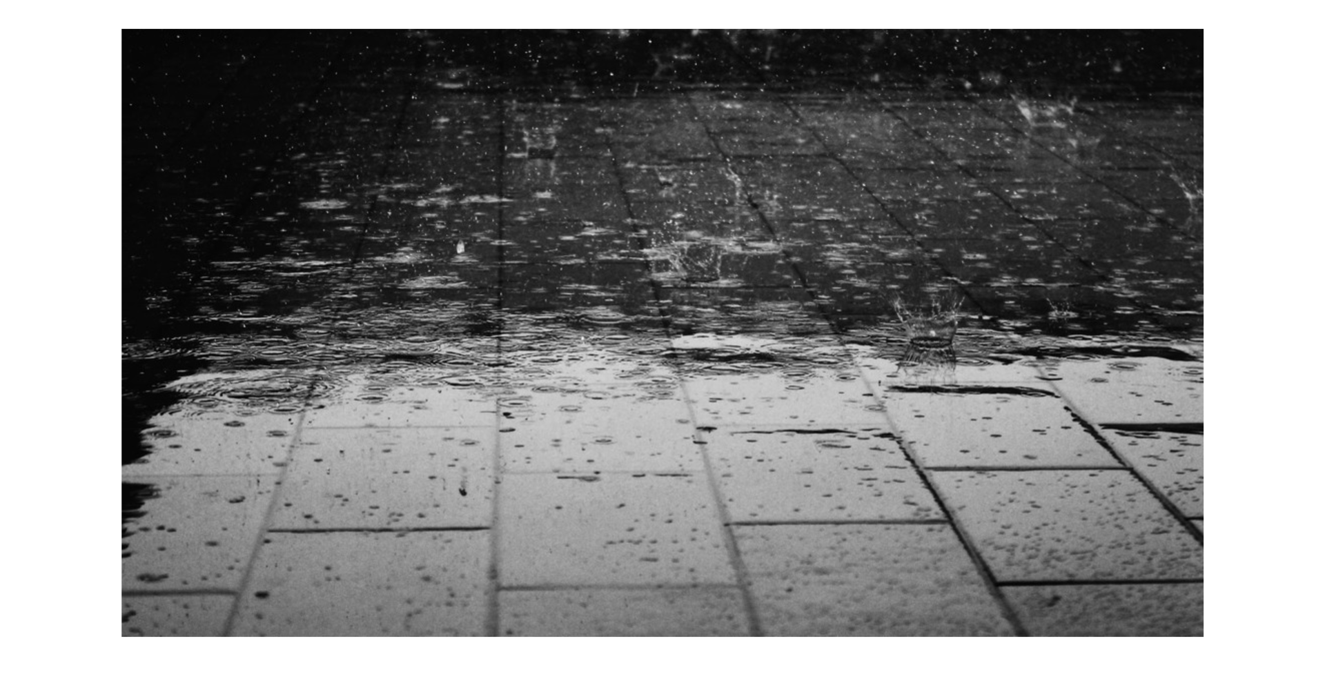 Progress Profiles Rain